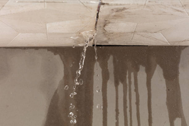 Professional Structural Drying technician working in Cooksville, MD